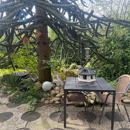 Apartament Welliebeach Grosse *